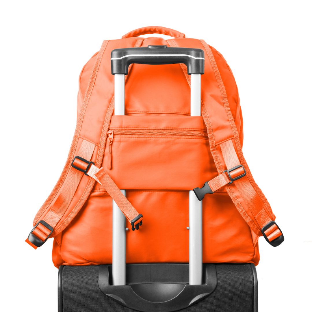 The Foldie® Backpack